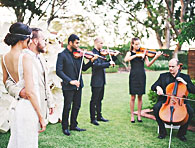 Wedding Strings